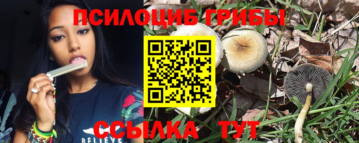 Псилоцибиновые грибы Magic Shrooms Старый Оскол